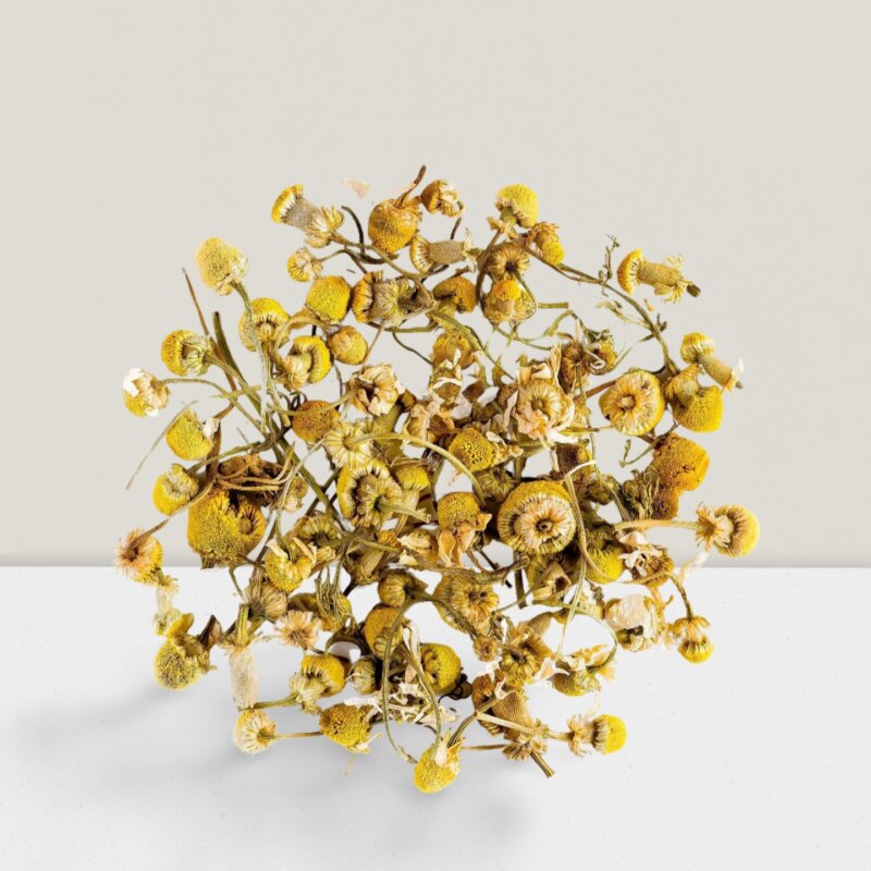 chamomile