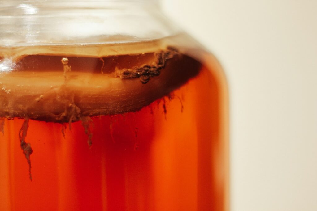Bir şişe içinde Kombucha çayı.